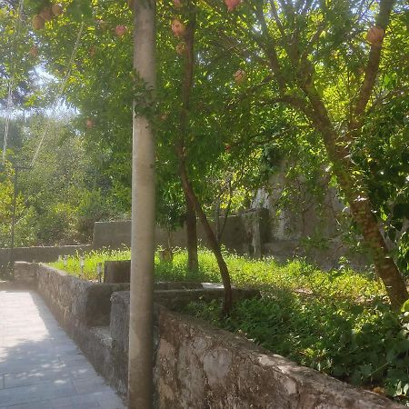Apartman Arbanas Дубровник Екстер'єр фото